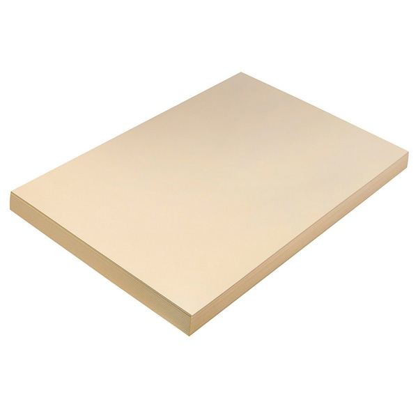 Heavyweight Tagboard, Manila, 12" x 18", PK100